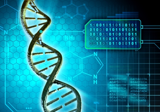 DNA sample analysis times dramatically reduced thanks to new file format